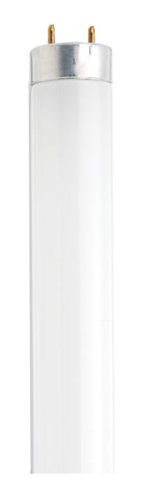 Satco S26517 30 Watt Cool White Linear Fluorescent Bulb T8 Medium Bi-Pin (G13) 2100 Lumens 4100K - CASE PACK 30