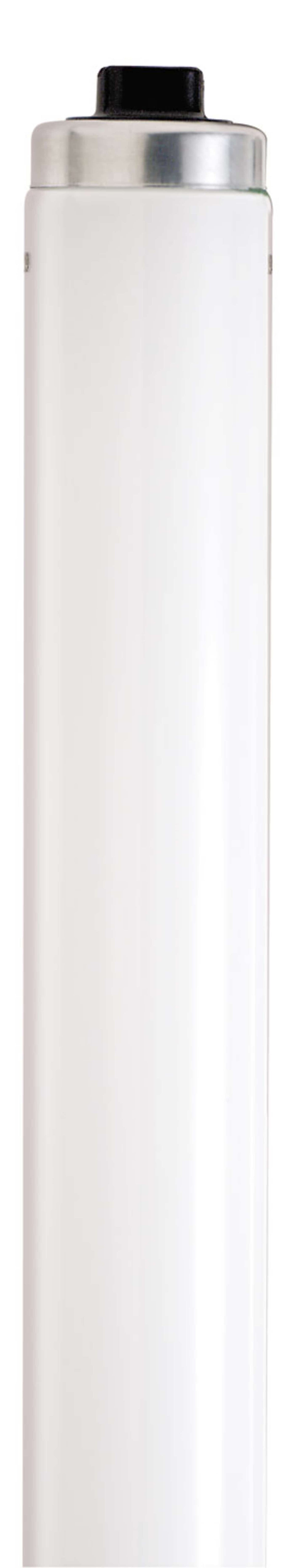 Satco S6449 35 Watt T12 Fluorescent 4200K Cool White 62 CRI Recessed Double Contact HO/VHO base