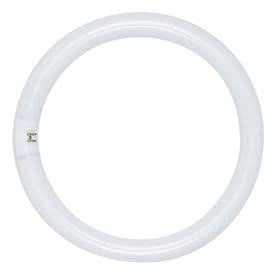 Satco S6504 FC12T9/D 32 Watt T9 Fluorescent Daylight