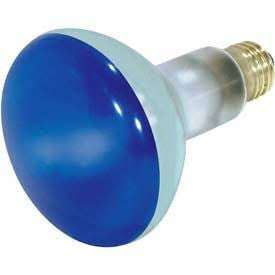 Satco S3228 75W 130 Volt Blue BR30 Medium (E26) Bulb