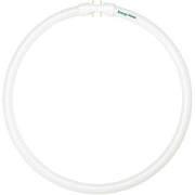 Bulbrite FC12T5-830 40 Watt Circline T5 Soft White Fluorescent Bulb