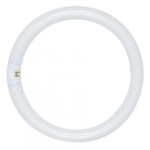 Satco S6506 FC16T9/CW 40 Watt T9 Circline Fluorescent 4100K Cool White 62 CRI 4-Pin base - CASE PACK 12 ONLY