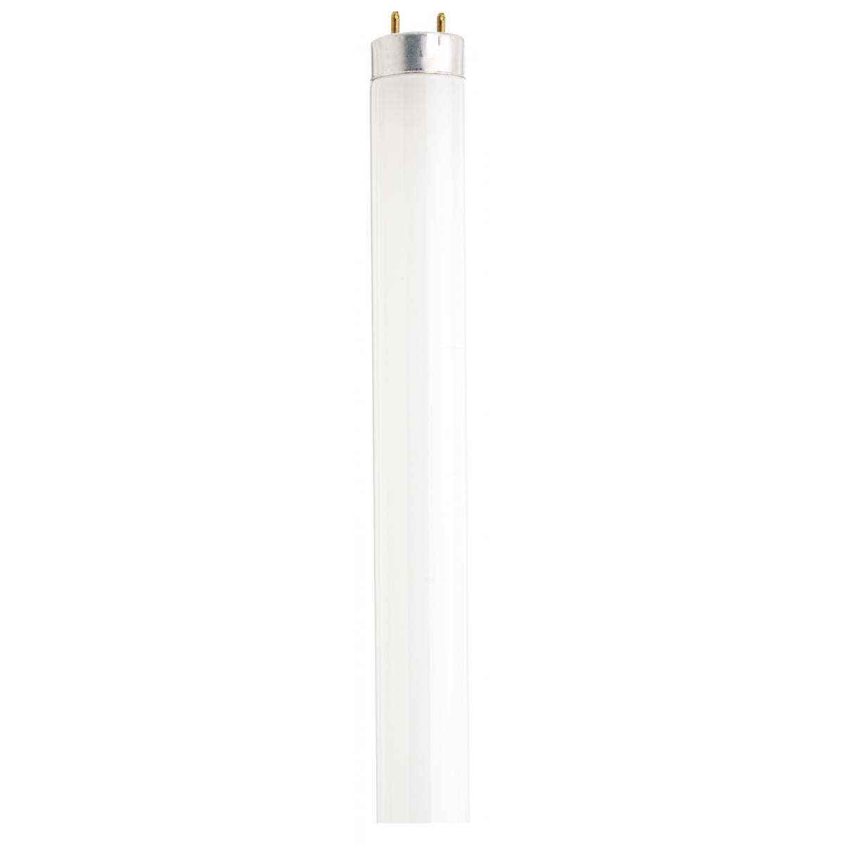 Satco S6536 F32T8/835/ECO 32 Watt T8 Fluorescent 3500K Neutral White 85 CRI Medium Bi Pin base - CASE PACK 36