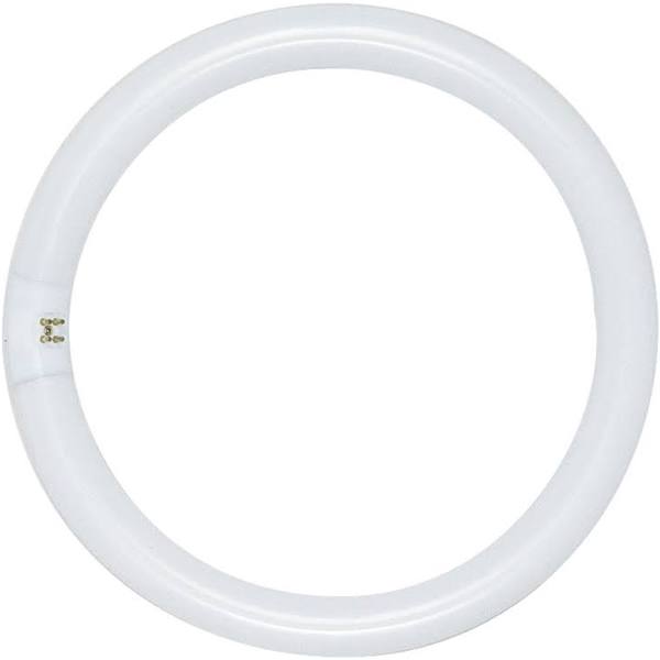 Satco S6502 FC8T9/WW 22 watt 8" T9 Circline Fluorescent Warm White