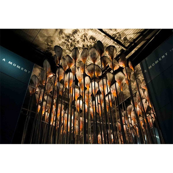 Chandelier lighting using Soraa SNAP 4 inch 1/4 CTO color filter