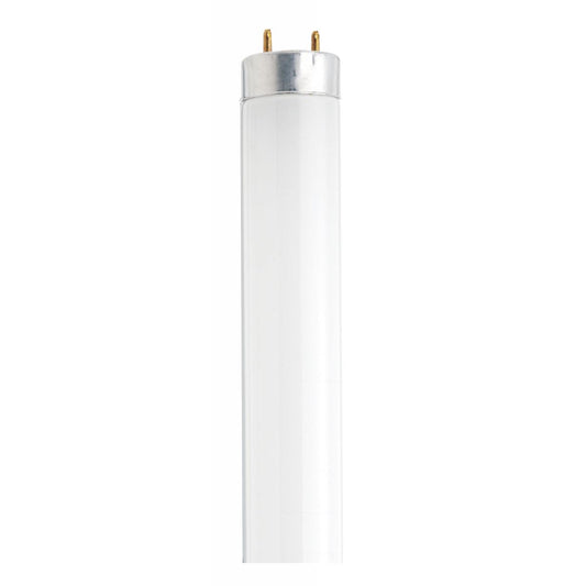 Satco S26513 18 Watt T8 24 Inch Cool White Fluorescent F18T8/CW/24