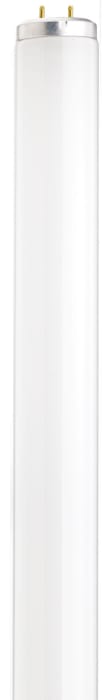 Satco S26570 25 Watt 33 Inch T12 Medium Bi-pin Base