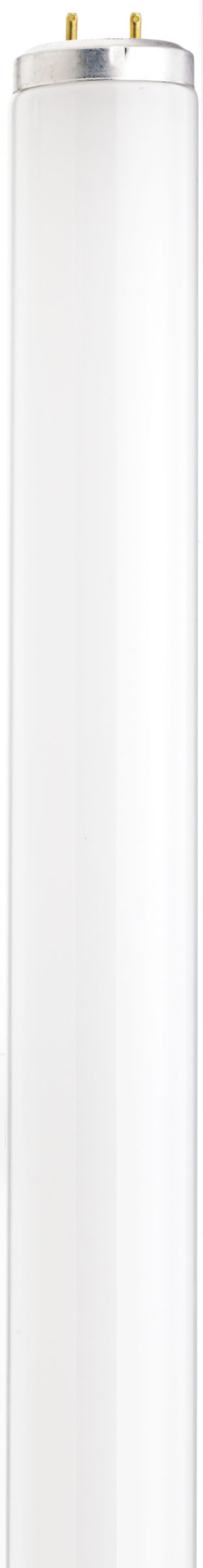 Satco S6580 30 Watt  T12  Shatter Proof Fluorescent  4200K Cool White  62 CRI  Medium Bi Pin base