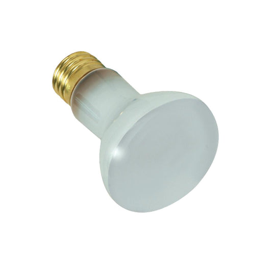 Satco S7001 100R20/FL 100 Watt R20 Incandescent Frost 2000 Average rated hours 970 Lumens Medium base 130 Volt Pool Bulb