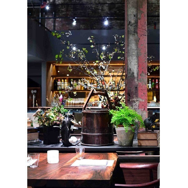 Restaurant bar lighting using Soraa BRILLIANT PAR30 Short Neck 9 degree 3000K LED lamps