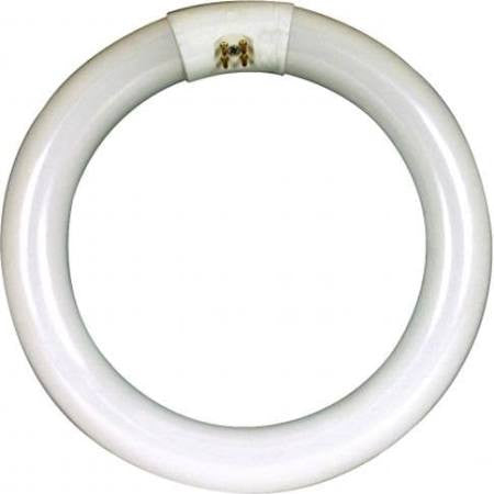 Feit FC12T9/CW Fluorescent Light Bulb Circular 32 Watt T9 Cool White 12"