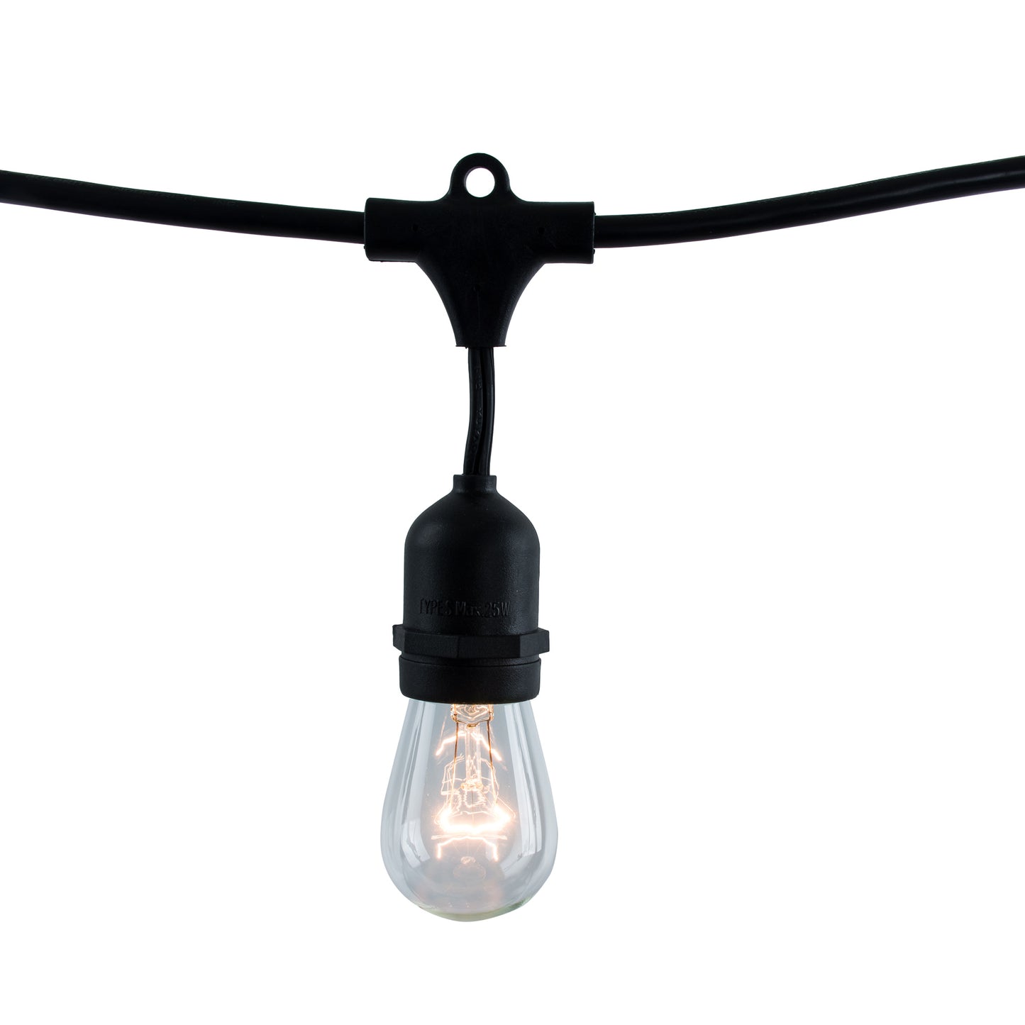 Bulbrite 810006 STRING10/E26/BLACK-S14KT String Light 10 Light with Clear S14 Bulbs