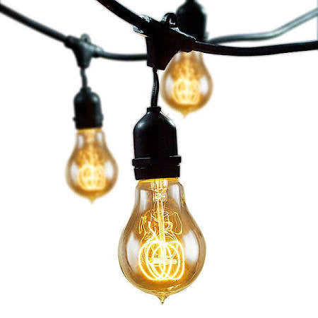 Bulbrite 810004 Clear String Light Pack of (15) Outdoor String Light