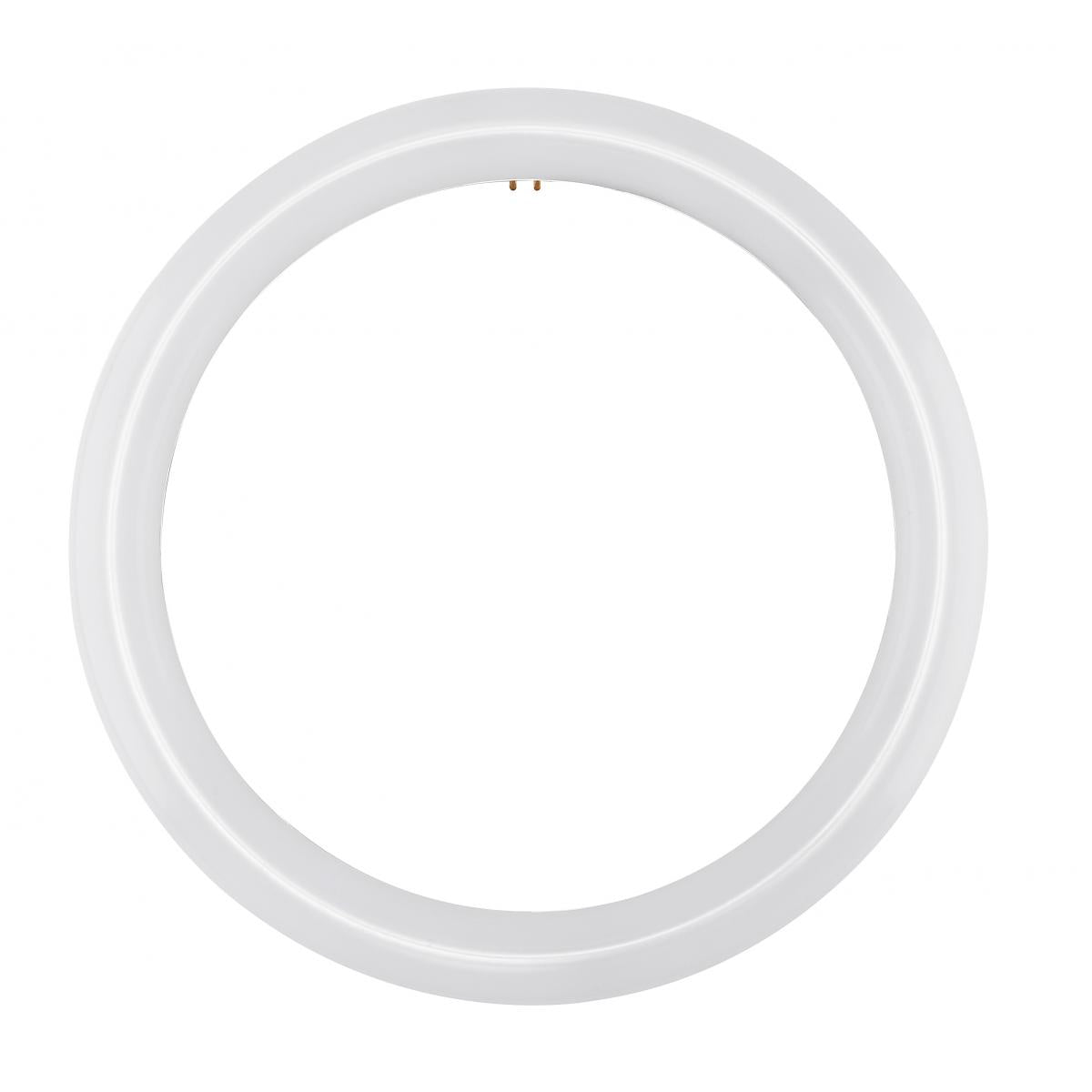 Satco S16505 LED Circline 16 Watt T9 6500K G10Q Base 120-277 Volt Type B Ballast Bypass