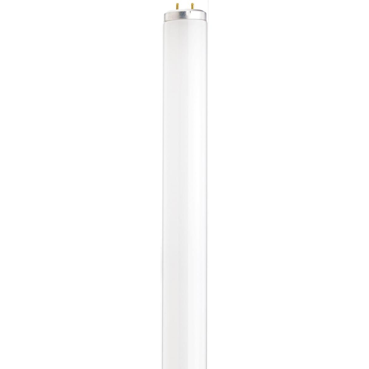 Satco S2926 40 Watt T12 Black light Fluorescent Medium Bi Pin base - CASE PACK 30