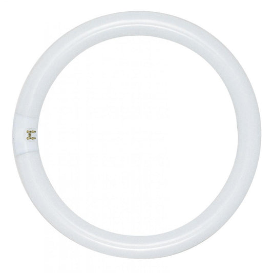 Satco S6501 FC8T9/D 22 Watt T9 Circline Fluorescent 6500K Daylight 76 CRI 4-Pin base