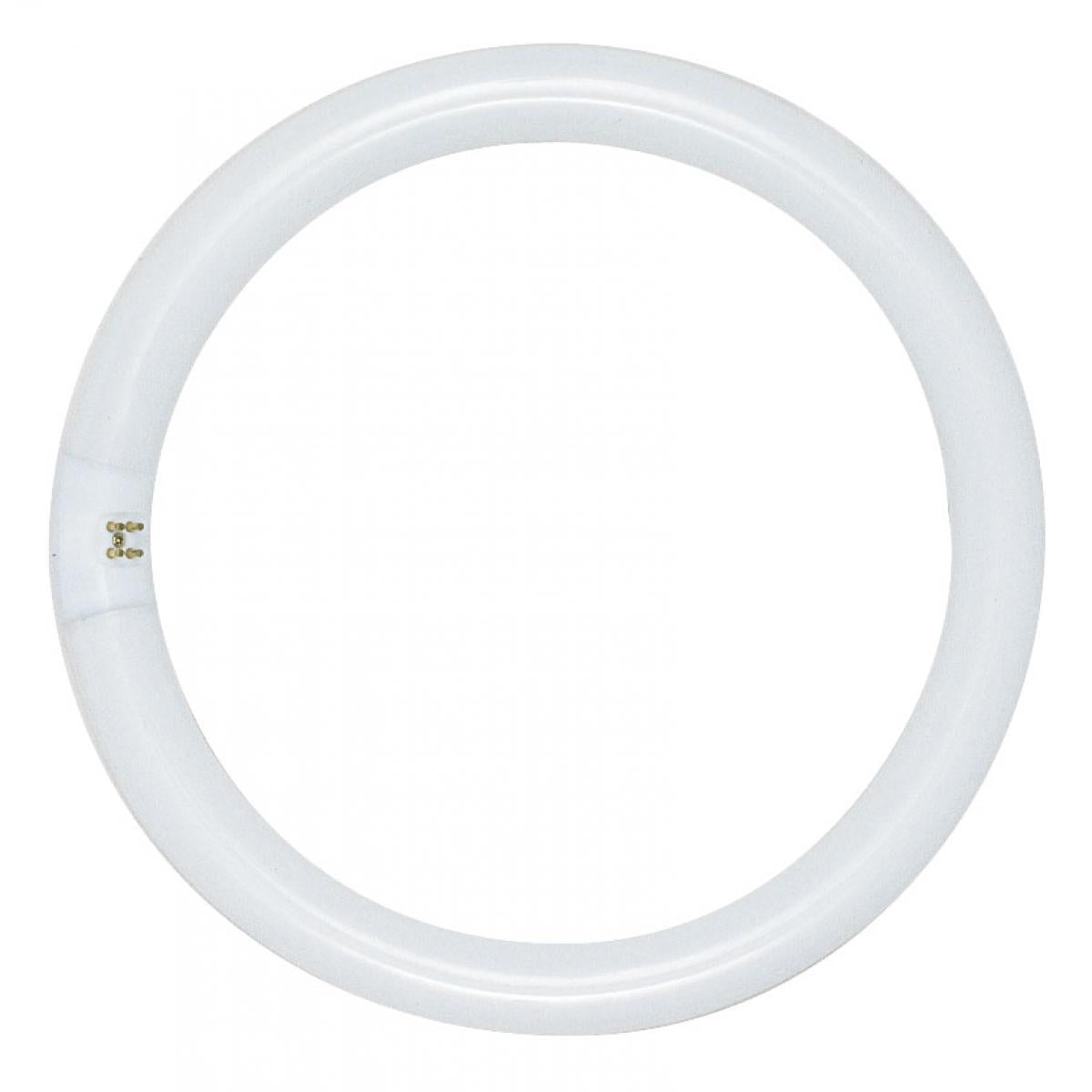 Satco S6506 FC16T9/CW 40 Watt T9 Circline Fluorescent 4100K Cool White 62 CRI 4-Pin base - CASE PACK 12 ONLY