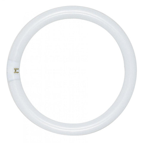 Satco S6506 FC16T9/CW 40 Watt T9 Circline Fluorescent 4100K Cool White 62 CRI 4-Pin base - CASE PACK 12 ONLY