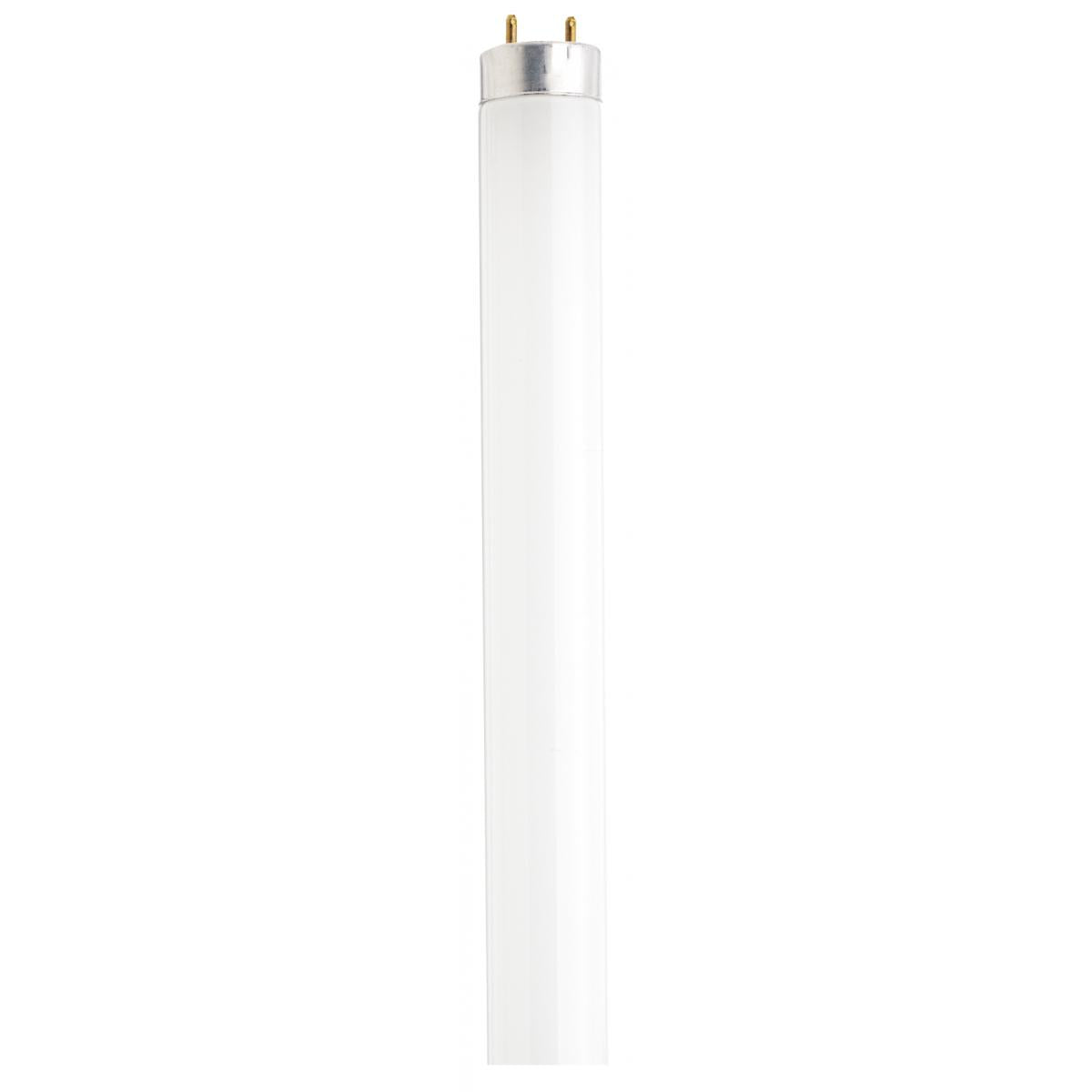 Satco S6537 F32T8/841/ECO 32 Watt T8 Fluorescent 4100K Cool White 85 CRI Medium Bi Pin base - CASE PACK 36