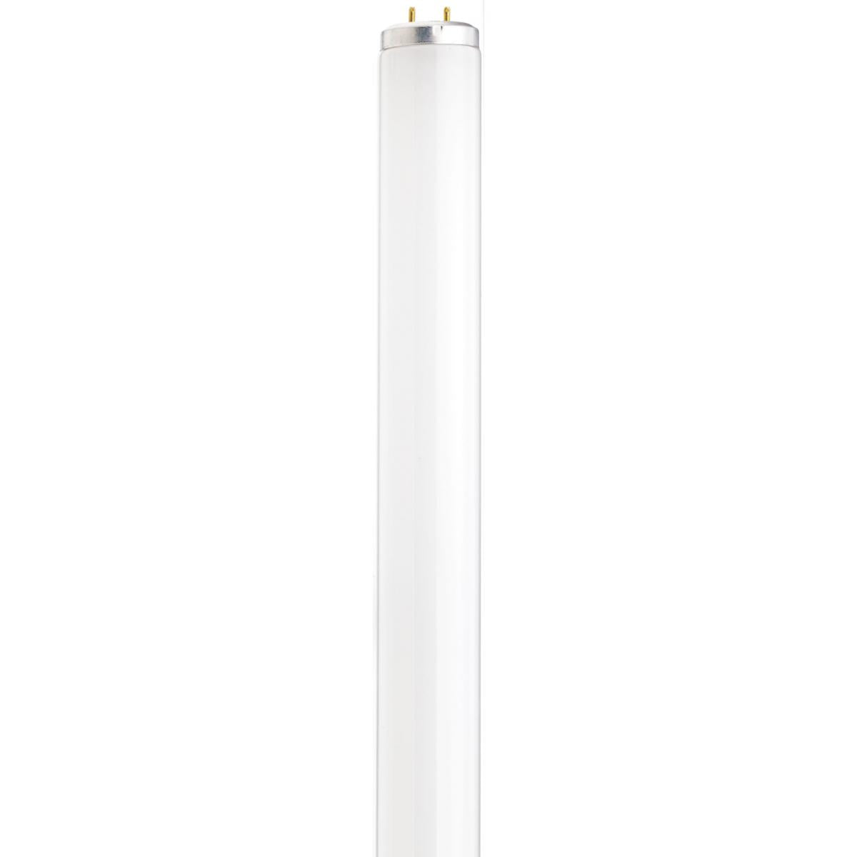 Satco S6608 F40DX 40 Watt T12 Fluorescent 6500K Daylight 88 CRI Medium Bi Pin base