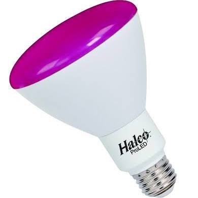 Halco 80166 - BR30FL9/PNK/LED BR30 Flood LED Light Bulb