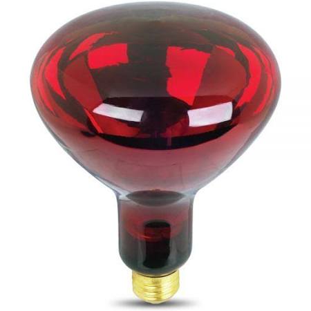 Feit 250R40/R Incandescent 250W R40 Heat Bulb RED 120 Volts