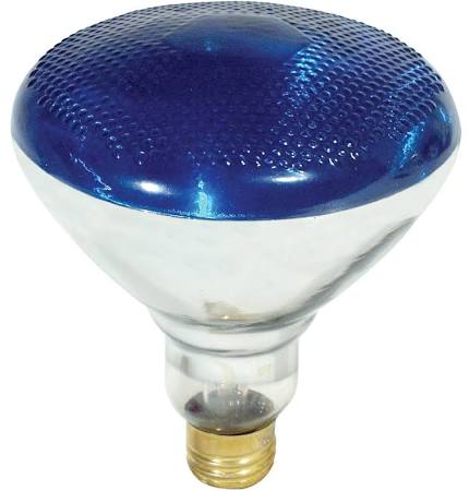 Feit 100PAR/B/1 120-Volt Lightweight PAR38 Reflector Blue