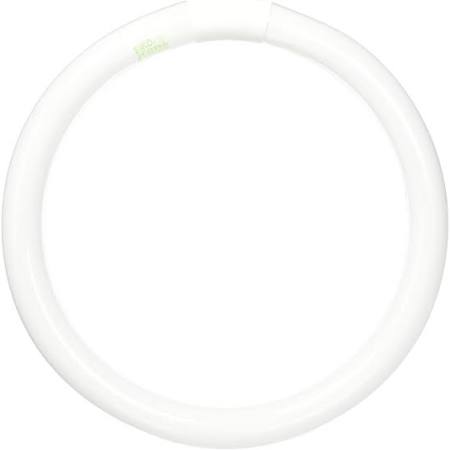 Eiko 15532 FC8T9/D 22W Circline Fluorescent 4 Pin 6500K Daylight